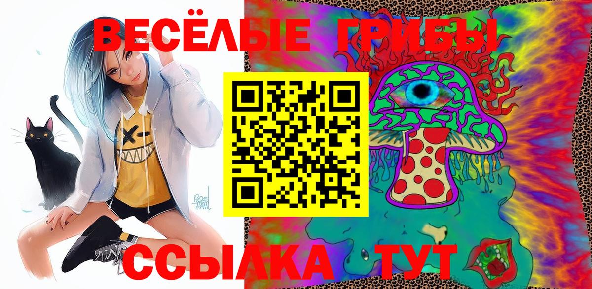 Елец  Галлюциногенные грибы GOLDEN TEACHER  Вход с VPN 