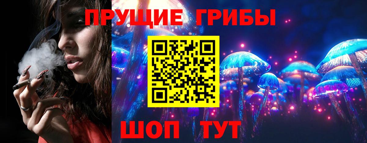 Псилоцибиновые грибы мицелий Елец
